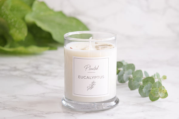 Handcrafted Soy Candle - Soy Wax Eucalyptus Candle - Eco-Friendly Home Fragrance