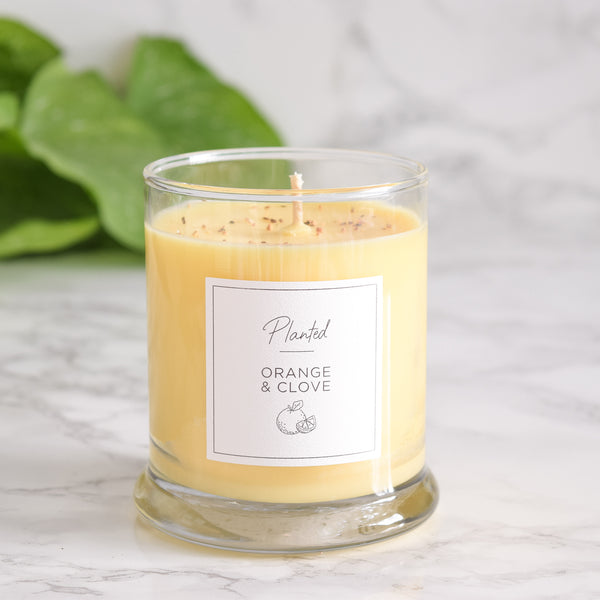 Handcrafted Soy Candle - Natural Scented Candle - Eco-Friendly Home Fragrance