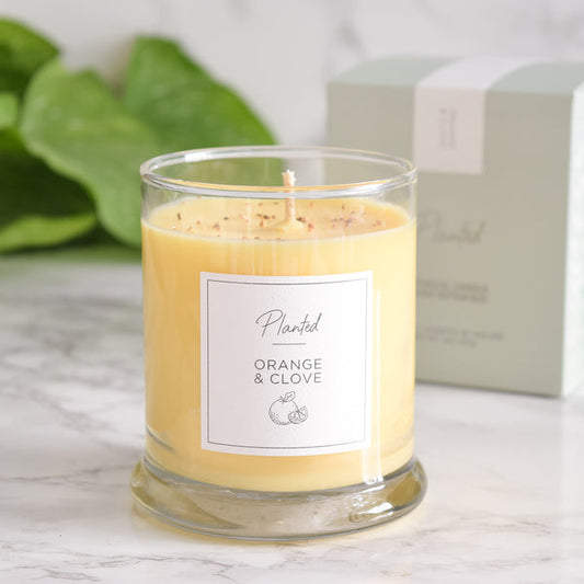 Handcrafted Soy Candle - Natural Scented Candle - Eco-Friendly Home Fragrance